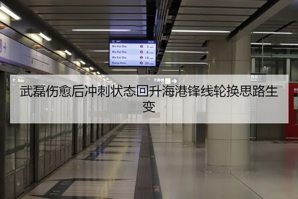 武磊伤愈后冲刺状态回升海港锋线轮换思路生变 | HUOBOSPORTS